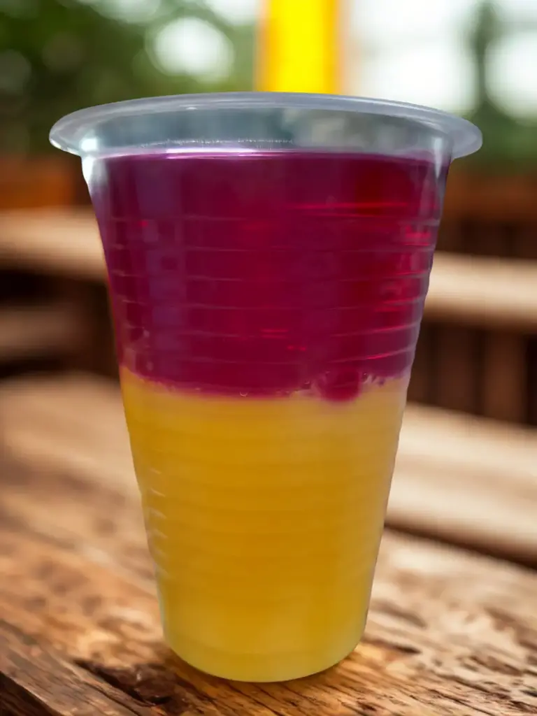 FLAN CON GELATINA UN