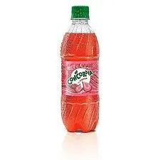 GASEOSA CONCORDIA ROJA 355 ML